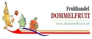 dommelfruit-groter